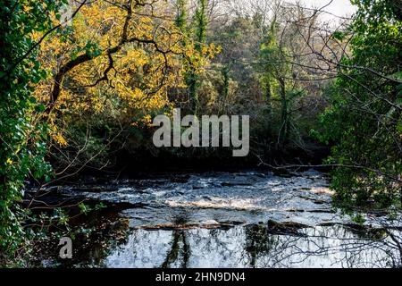 Oleed River, Bruckless, County Donegal, Irlanda in autunno o in autunno. Foto Stock