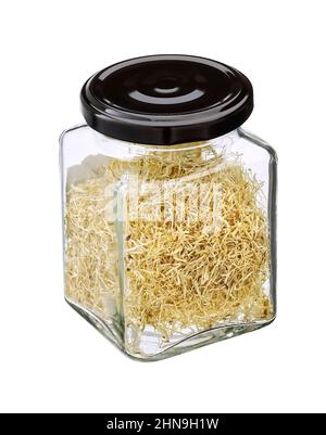Cina Ravanello rosa germogli vegetali in un vaso di vetro isolato. Foto Stock