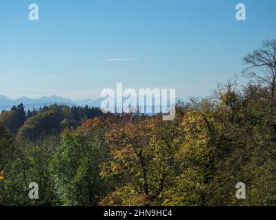 Vista su alcuni alberi decidui colorati d'autunno fino alle Alpi bavaresi leggermente ricoperte di neve nella foschia dell'orizzonte Foto Stock