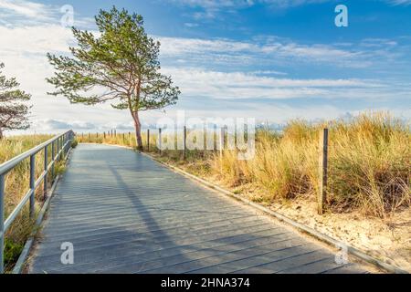 Passeggiata costiera lungo la spiaggia nella città di Hel sulla costa del Mar Baltico, Polonia. La penisola di Hel è un luogo popolare per le vacanze estive. Hel, Pomerania, Polonia Foto Stock