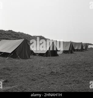 1950s, storico, una fila di tende di tela dell'epoca erette in una linea fuori in un campo, Galles, Regno Unito. Le tende tradizionali in tela di cotone erano traspiranti, impermeabili e rispettose dell'ambiente. Erano anche resistenza alle intemperie e, se ben curati, erano molto durevoli, duravano da 20 a 30 anni. Foto Stock