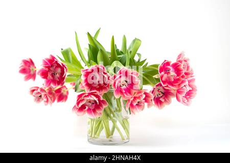 Bouquet di tulipani rosa isolato su sfondo bianco. Foto Stock