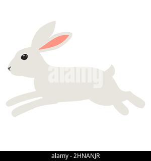 Lepre su sfondo bianco. Coniglietto per la carta di Pasqua. Illustrazione vettoriale Illustrazione Vettoriale