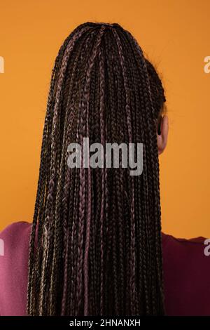 I capelli delle donne legati in molte trecce piccole che generano un hairstyle interessante. Foto Stock