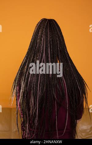 I capelli delle donne legati in molte trecce piccole che generano un hairstyle interessante. Foto Stock