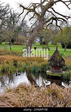 Anatra stagno con anatra tradizionale casa e Hartley Wintney Commons parco dietro, Hampshire, Regno Unito Foto Stock