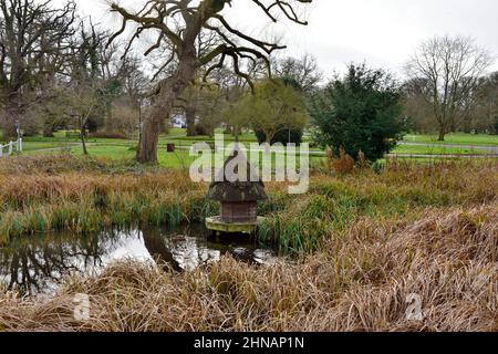 Anatra stagno con anatra tradizionale casa e Hartley Wintney Commons parco dietro, Hampshire, Regno Unito Foto Stock