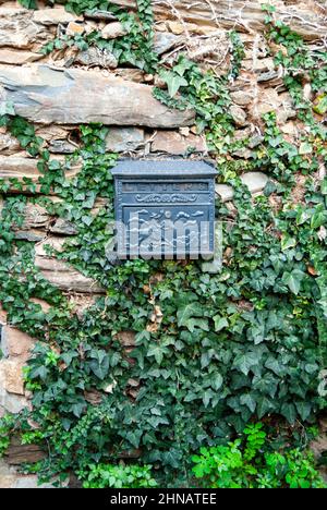 Vecchia scatola di sostegno nera su muro di pietra di ardesia con impianto di rimpicalcatura in verticale Foto Stock