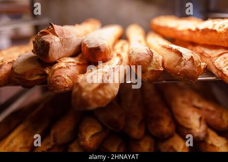 Baguette biologiche appena sfornate in panetteria Foto Stock