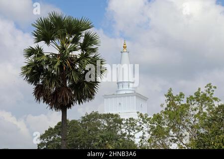 Mahamevnawa Gardens nell'antica città di Anuradhapura in Sri Lanka Foto Stock