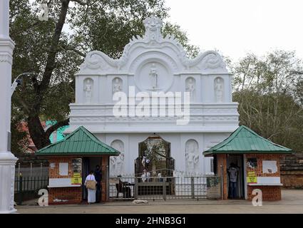 Complesso sacro del tempio di albero di Bodhi ad Anuradhapura in Sri Lanka Foto Stock