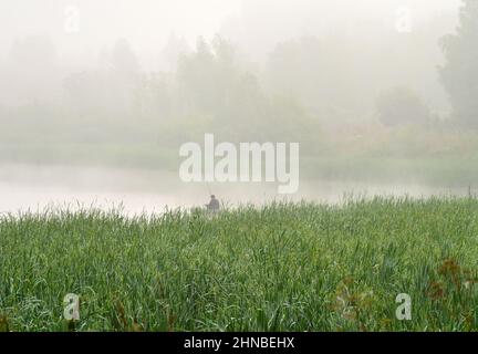 Un uomo su una barca di gomma con una canna da pesca rialzata sulla superficie del lago. Erba spessa, nebbia mattutina sulla superficie dell'acqua, sagome di t Foto Stock