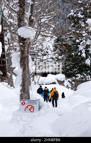 yamanochi, nagano, giappone, 2022/12/02 , turisti che vanno al parco nazionale joshinetsu-kogen, dove i turisti possono andare a vedere le scimmie della neve che prendono il bagno dentro Foto Stock