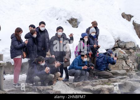 yamanochi, nagano, giappone, 2022/12/02 , turisti che scattano foto delle scimmie della neve al parco nazionale joshinetsu-kogen, dove i turisti possono andare a vedere la neve Foto Stock