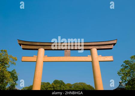 Torii porta tradizionale giapponese al Santuario di Kashihara a Nara, Giappone Foto Stock