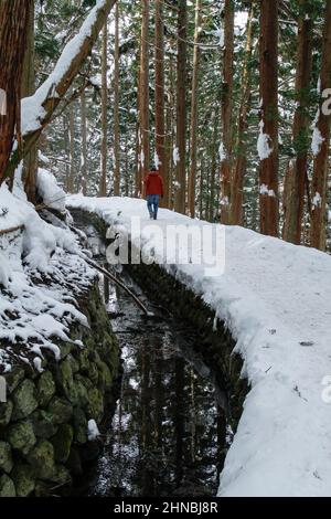 yamanochi, nagano, giappone, 2022/12/02 , turisti che camminano al parco nazionale joshinetsu-kogen in inverno, dove i turisti possono andare a vedere le scimmie della neve tak Foto Stock