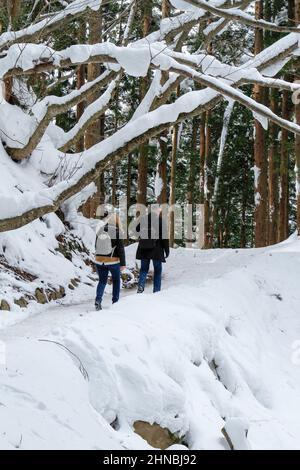 yamanochi, nagano, giappone, 2022/12/02 , turisti che camminano al parco nazionale joshinetsu-kogen in inverno, dove i turisti possono andare a vedere le scimmie della neve tak Foto Stock