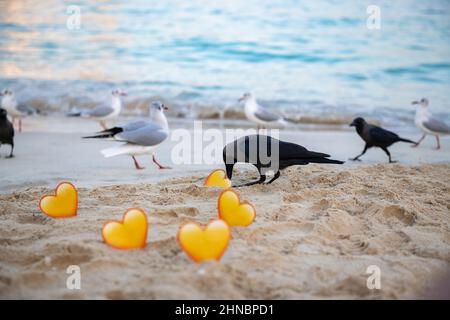 corvi e gabbiani e cuori gialli nella sabbia si ergono sul mare Foto Stock