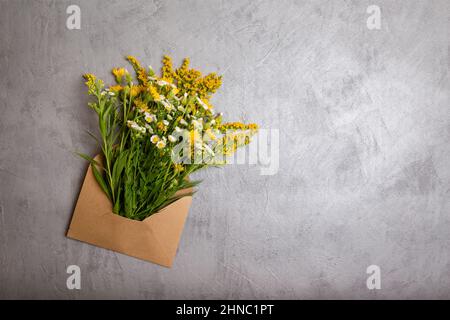 Erbe fresche dal giardino. Erbe curative su tavola concreta Foto Stock