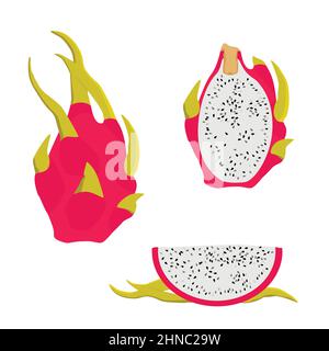 Delizioso taglio e intera pitahaya drago frutti isolati su sfondo bianco. Vettore Illustrazione Vettoriale