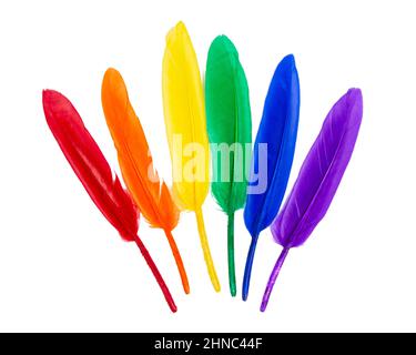 Piume multicolori dell'arcobaleno isolate su sfondo bianco Foto Stock