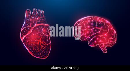 Cuore e cervello umani. Struttura a reticolo a basso poli. Concetto per medico, trattamento dell'epatite. Astratto moderno 3D illustrazione vettoriale su blu scuro Illustrazione Vettoriale