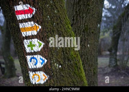 Percorso escursionistico segni su un tronco di albero in una foresta Foto Stock
