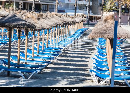 Sedie a sdraio in fila e ombrelloni in spiaggia in estate. Foto Stock