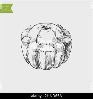 Schizzo di inchiostro di pattyan squash isolato su sfondo bianco. Illustrazione vettoriale disegnata a mano. Stile retrò. Illustrazione Vettoriale