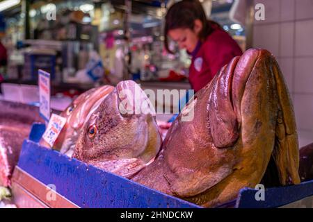 cabeza de besugo, Pescaderia del Mercat de l Olivar, Palma di Maiorca, Isole Baleari, Spagna Foto Stock