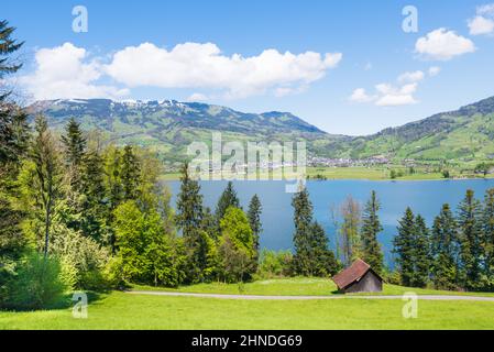 Paesaggio pastorale calmante estivo. Campagna svizzera. Cantone Svitto Foto Stock