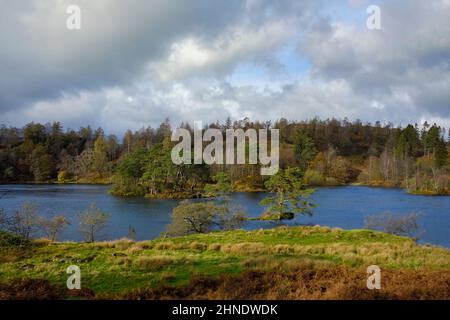 Tarn Hows nel Lake District inglese. Foto Stock