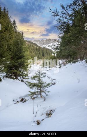 Monti Bucegi, Romania. Bellissimo paesaggio delle montagne carpazi in inverno Foto Stock