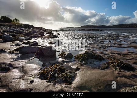 Spiaggia con rocce e alghe a bassa marea, Kippford, Dalbeattie, Dumfries e Galloway, Scozia, Regno Unito, Europa Foto Stock
