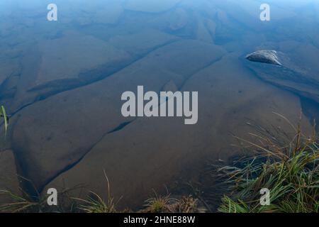 Le pietre sotto l'acqua sono coperte da piccole alghe verdi, acqua in piedi nel lago, acqua limpida. Foto Stock