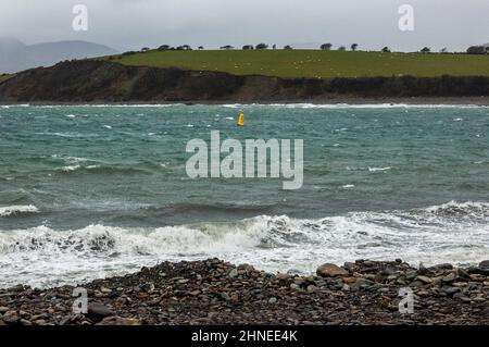 Bantry, West Cork, Irlanda. 16th Feb 2022. Storm Dudley ha colpito l'Irlanda oggi con 65KMH venti e raffiche fino a 110KMH. Bantry Bay è stato colpito da forti venti e alte onde oggi. L'Irlanda è abbellita per Storm Eunice che dovrebbe colpire terra a circa 3am con venti alti, pioggia pesante e possibile neve in alcune parti del paese. Met Eireann ha emesso un avvertimento rosso di stato per Cork con Storm Eunice sulla sua strada. Credit: Evan Doak/Alamy Live News. Foto Stock