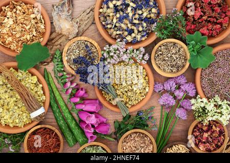 Erbe curative e fiori per rimedi alternativi. Medicina vegetale a base di erbe con fiori commestibili in ciotole e sciolto. Concetto di assistenza sanitaria naturale. Foto Stock