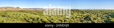 Panorama di un muschio coperto campo di lava vulcanica di Eldhraun, Islanda meridionale. La roccia vulcanica è completamente coperta da morbidi cuscini di muschio. Eldhraun Foto Stock