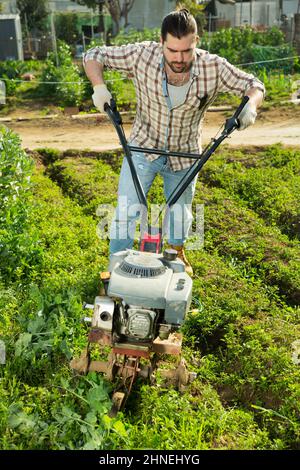 Giardiniere utilizzando coltivatore motorizzato nel suo giardino Foto Stock