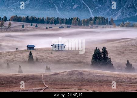 Fog sui pascoli dell'Alpe di Seiser con capanne in legno e alberi colorati all'Alpe di Seiser, in autunno prima dell'alba. Foto Stock