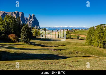 Campagna agricola collinare con villaggio Compatsch a Seiser Alm, il gruppo di Sciliar con Monte Petz (a sinistra) e Santnerspitze (a destra). Foto Stock