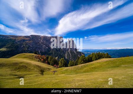 Campagna agricola collinare con pascoli e alberi colorati a Seiser Alm, il gruppo degli Scilieri con Monte Petz (a sinistra) e Santnerspitze (a destra). Foto Stock