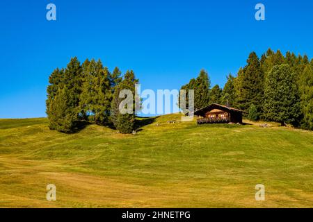 Campagna agricola collinare con una capanna di legno e alberi a Seiser Alm in autunno. Foto Stock
