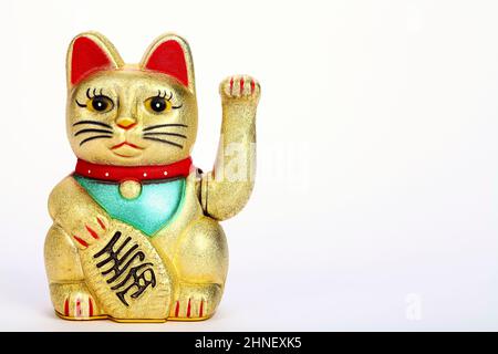 Il fascino fortunato della fortuna richiama il gatto Maneki Neko con lo spazio di copia Foto Stock