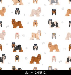 Modello senza cuciture Tibetan Terrier. Pose diverse, colori del cappotto impostati. Illustrazione vettoriale Illustrazione Vettoriale