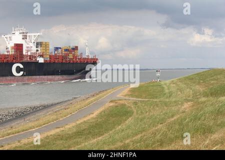 Grande nave da carico msc zoe naviga attraverso il fiume westerschelde mare da Terneuzen verso Anversa, proprio lungo il grande mare verde in estate Foto Stock
