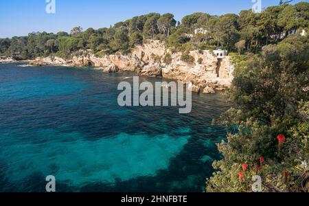 Fiori d'arancio Aloe, mare blu, e scogliere sul '`Cap d`Antibes'', Capo Antibes, costa azzurra , Francia, fuoco selettivo Foto Stock