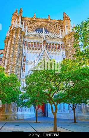 La pittoresca porta gotica della Concezione (Puerta de la Concepcion) dietro gli alberi lussureggianti di Orange Corte della Cattedrale di Siviglia, Spagna Foto Stock