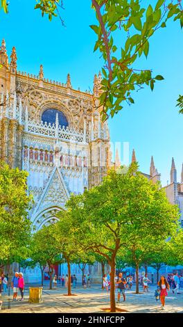 SIVIGLIA, SPAGNA - 29 SETTEMBRE 2019: La piacevole passeggiata tra i rigogliosi alberi verdi della corte degli aranci della Cattedrale di Siviglia con porta della Conceptio Foto Stock