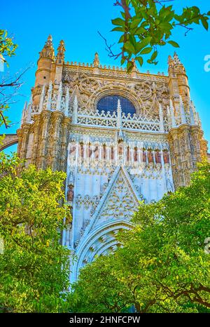 La splendida porta gotica della Concezione con numerose sculture e incisioni, vista attraverso gli alberi verdi di Orange Trees Court, la Cattedrale di Siviglia Foto Stock